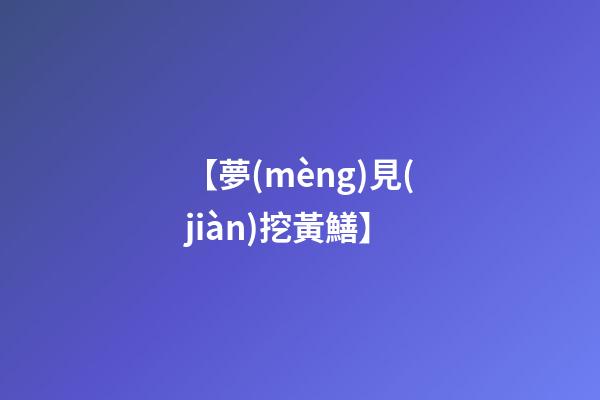 【夢(mèng)見(jiàn)挖黃鱔】