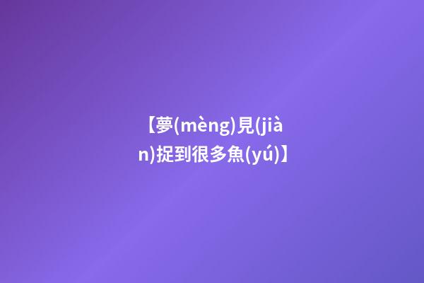 【夢(mèng)見(jiàn)捉到很多魚(yú)】