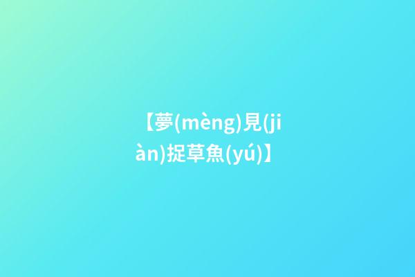 【夢(mèng)見(jiàn)捉草魚(yú)】