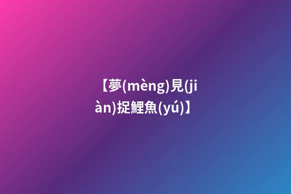 【夢(mèng)見(jiàn)捉鯉魚(yú)】