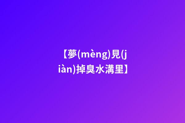 【夢(mèng)見(jiàn)掉臭水溝里】