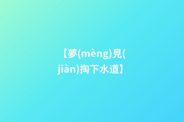 【夢(mèng)見(jiàn)掏下水道】