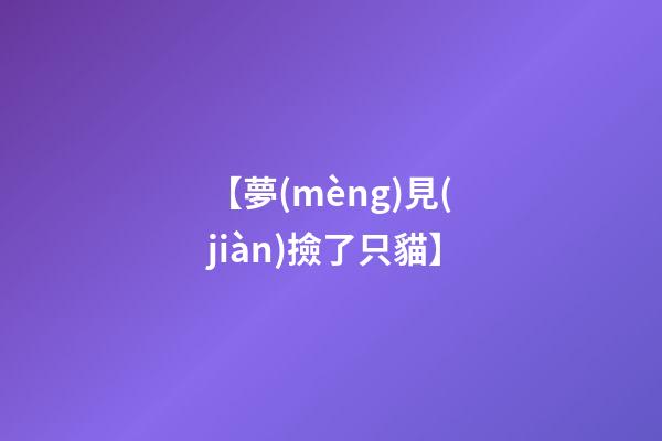 【夢(mèng)見(jiàn)撿了只貓】