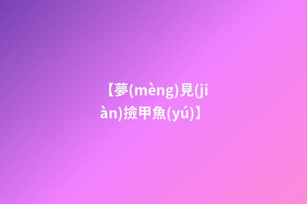 【夢(mèng)見(jiàn)撿甲魚(yú)】