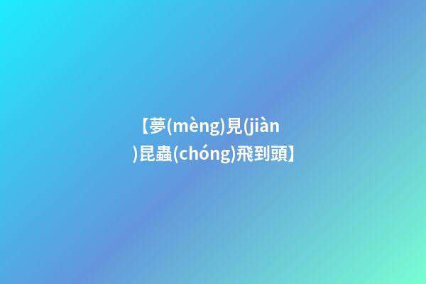 【夢(mèng)見(jiàn)昆蟲(chóng)飛到頭】