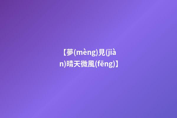 【夢(mèng)見(jiàn)晴天微風(fēng)】