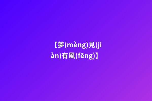 【夢(mèng)見(jiàn)有風(fēng)】