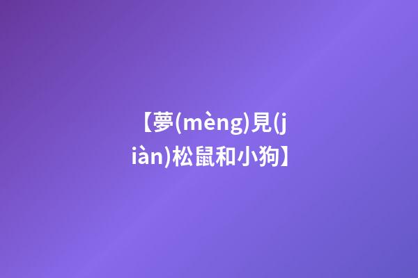 【夢(mèng)見(jiàn)松鼠和小狗】