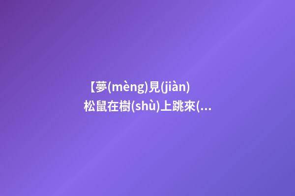 【夢(mèng)見(jiàn)松鼠在樹(shù)上跳來(lái)跳去】