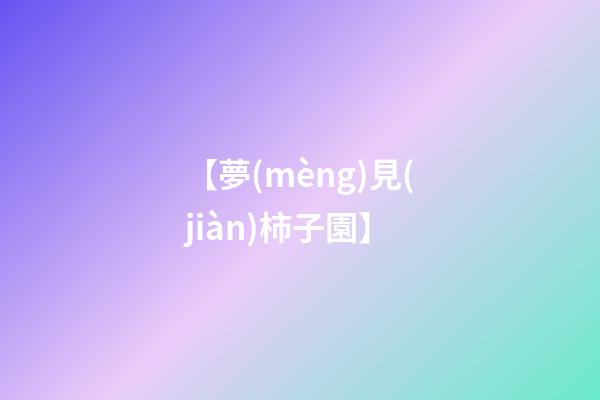 【夢(mèng)見(jiàn)柿子園】