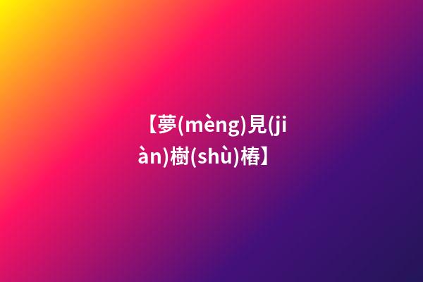 【夢(mèng)見(jiàn)樹(shù)樁】