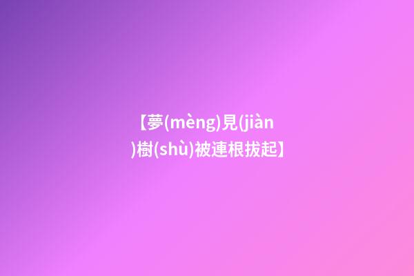【夢(mèng)見(jiàn)樹(shù)被連根拔起】