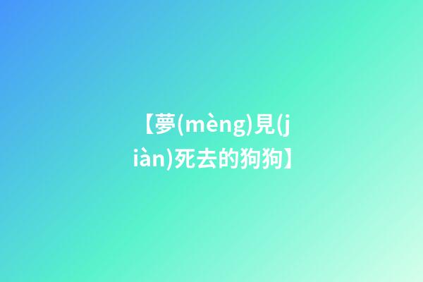 【夢(mèng)見(jiàn)死去的狗狗】