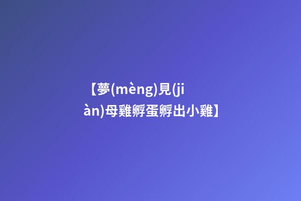 【夢(mèng)見(jiàn)母雞孵蛋孵出小雞】