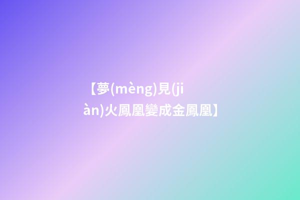 【夢(mèng)見(jiàn)火鳳凰變成金鳳凰】