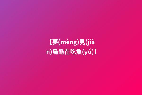 【夢(mèng)見(jiàn)烏龜在吃魚(yú)】