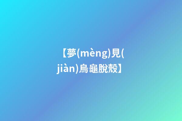 【夢(mèng)見(jiàn)烏龜脫殼】