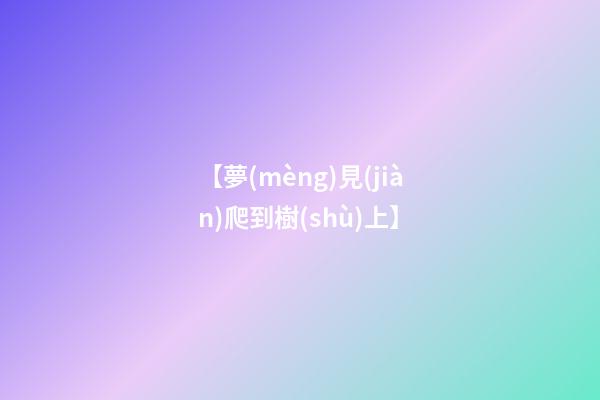 【夢(mèng)見(jiàn)爬到樹(shù)上】
