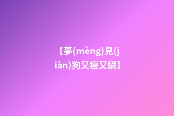 【夢(mèng)見(jiàn)狗又瘦又臟】