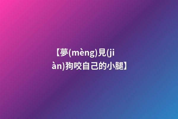 【夢(mèng)見(jiàn)狗咬自己的小腿】