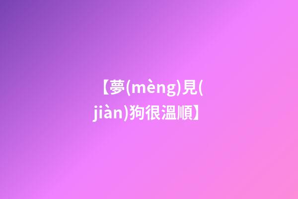 【夢(mèng)見(jiàn)狗很溫順】
