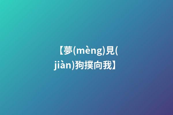 【夢(mèng)見(jiàn)狗撲向我】