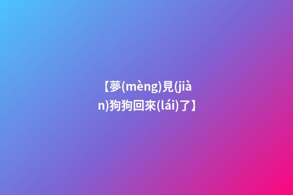 【夢(mèng)見(jiàn)狗狗回來(lái)了】