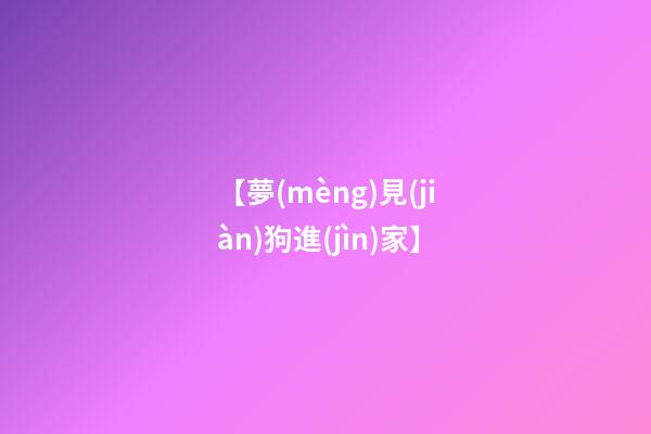 【夢(mèng)見(jiàn)狗進(jìn)家】