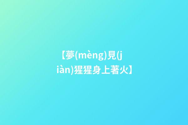 【夢(mèng)見(jiàn)猩猩身上著火】