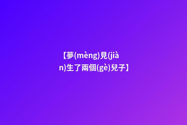 【夢(mèng)見(jiàn)生了兩個(gè)兒子】