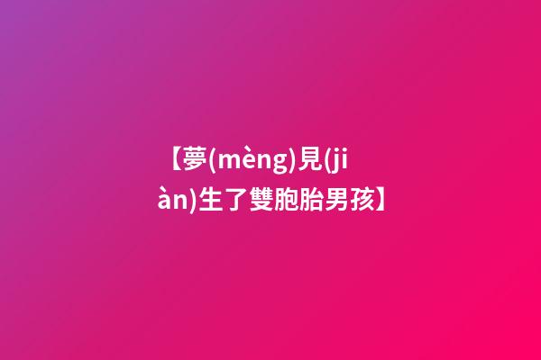 【夢(mèng)見(jiàn)生了雙胞胎男孩】