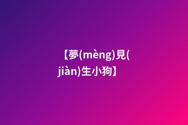 【夢(mèng)見(jiàn)生小狗】