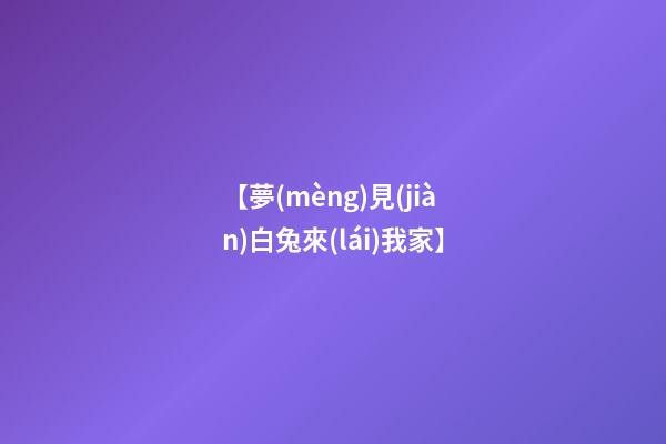【夢(mèng)見(jiàn)白兔來(lái)我家】