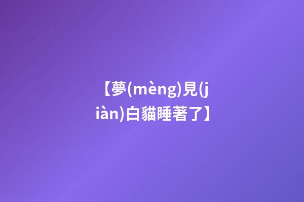 【夢(mèng)見(jiàn)白貓睡著了】