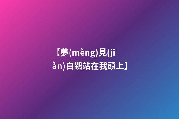 【夢(mèng)見(jiàn)白鷴站在我頭上】