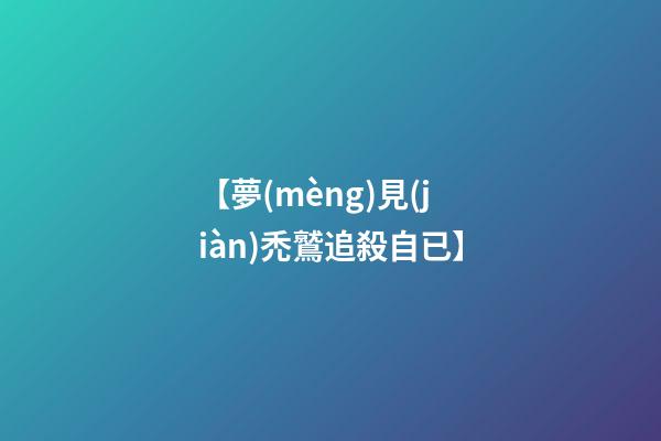 【夢(mèng)見(jiàn)禿鷲追殺自已】