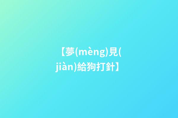 【夢(mèng)見(jiàn)給狗打針】