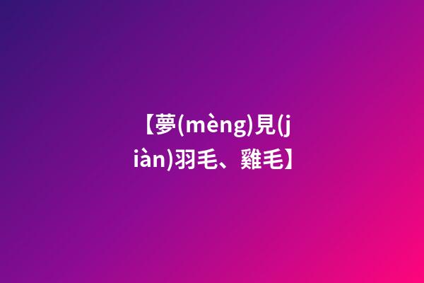 【夢(mèng)見(jiàn)羽毛、雞毛】