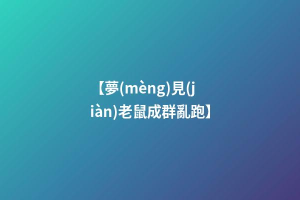 【夢(mèng)見(jiàn)老鼠成群亂跑】