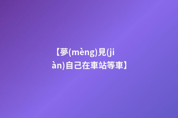 【夢(mèng)見(jiàn)自己在車站等車】
