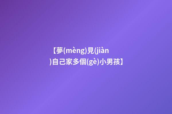 【夢(mèng)見(jiàn)自己家多個(gè)小男孩】