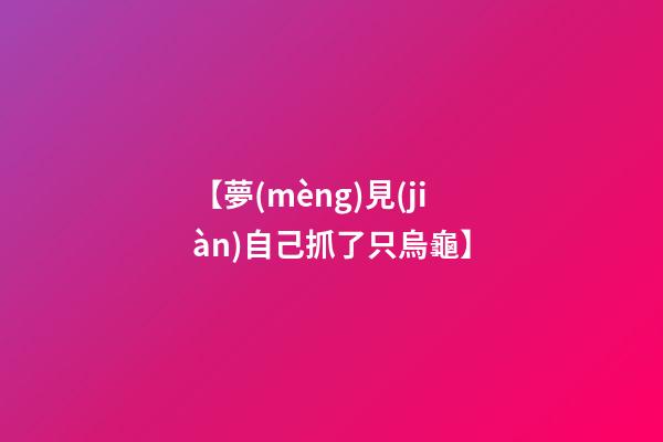 【夢(mèng)見(jiàn)自己抓了只烏龜】