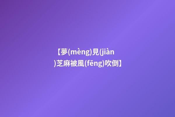 【夢(mèng)見(jiàn)芝麻被風(fēng)吹倒】