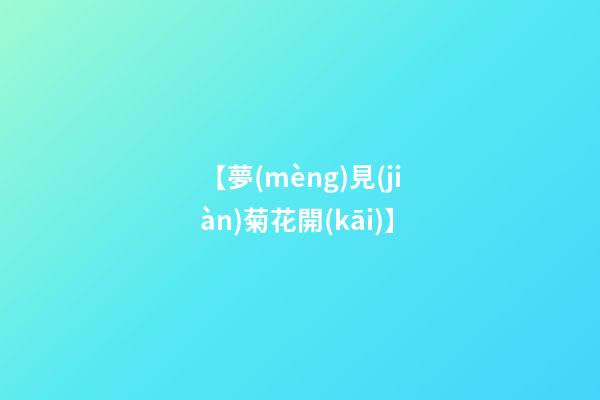 【夢(mèng)見(jiàn)菊花開(kāi)】