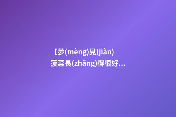 【夢(mèng)見(jiàn)菠菜長(zhǎng)得很好】