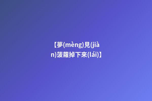 【夢(mèng)見(jiàn)菠蘿掉下來(lái)】