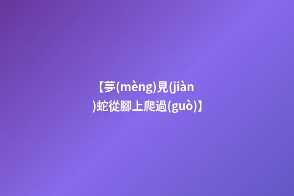 【夢(mèng)見(jiàn)蛇從腳上爬過(guò)】