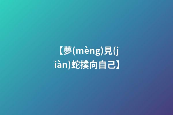 【夢(mèng)見(jiàn)蛇撲向自己】