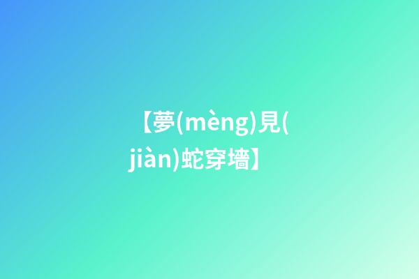 【夢(mèng)見(jiàn)蛇穿墻】