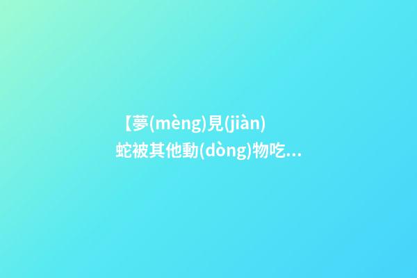 【夢(mèng)見(jiàn)蛇被其他動(dòng)物吃了】